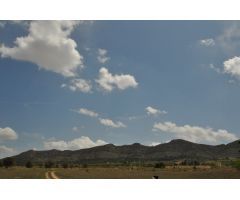 Parcela en Venta en Yecla, Murcia
