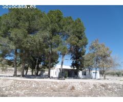 Finca rustica en Venta en Yecla, Murcia