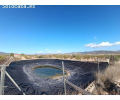 Finca rustica en Venta en Jumilla, Murcia
