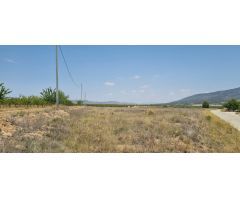 Parcela en Venta en Yecla, Murcia