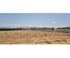 Parcela en Venta en Yecla, Murcia
