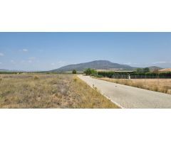 Parcela en Venta en Yecla, Murcia