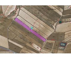Parcela en Venta en Jumilla, Murcia