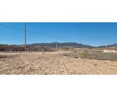 Parcela en Venta en Jumilla, Murcia