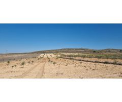 Parcela en Venta en Jumilla, Murcia