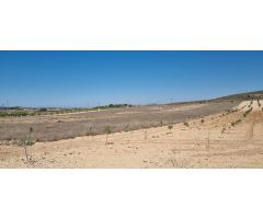 Parcela en Venta en Jumilla, Murcia