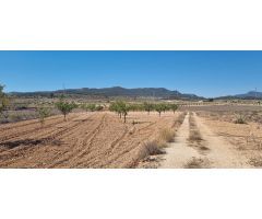 Parcela en Venta en Jumilla, Murcia