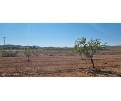 Parcela en Venta en Jumilla, Murcia