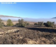 Parcela en Venta en Yecla, Murcia