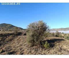Parcela en Venta en Yecla, Murcia