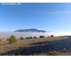 Parcela en Venta en Yecla, Murcia