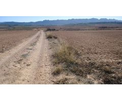 Parcela en Venta en Yecla, Murcia