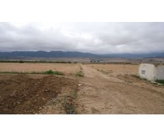 Parcela en Venta en Yecla, Murcia