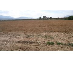 Parcela en Venta en Yecla, Murcia