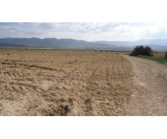 Parcela en Venta en Yecla, Murcia