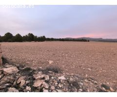 Parcela en Venta en Yecla, Murcia