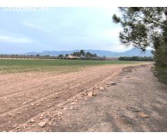 Parcela en Venta en Yecla, Murcia