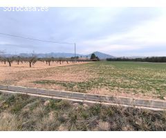 Parcela en Venta en Yecla, Murcia