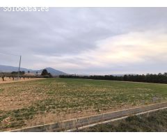 Parcela en Venta en Yecla, Murcia