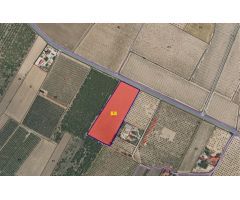 Parcela en Venta en Yecla, Murcia