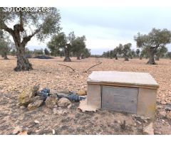 Parcela en Venta en Yecla, Murcia