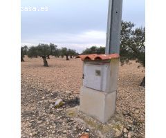 Parcela en Venta en Yecla, Murcia