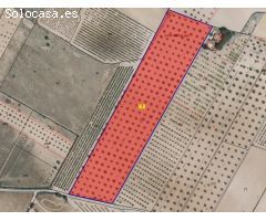 Parcela en Venta en Yecla, Murcia