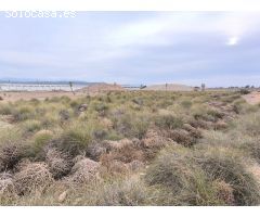 Parcela en Venta en Yecla, Murcia