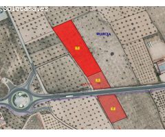 Parcela en Venta en Yecla, Murcia