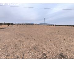 Parcela en Venta en Yecla, Murcia
