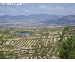 Parcela en Venta en Yecla, Murcia
