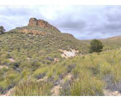 Parcela en Venta en Yecla, Murcia