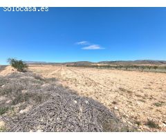 Parcela en Venta en Torre - Pacheco, Murcia