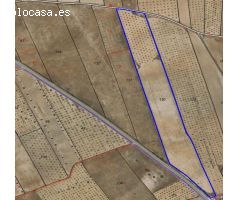 Parcela en Venta en Torre - Pacheco, Murcia