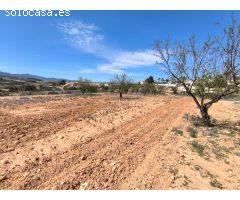 Parcela en Venta en Jumilla, Murcia