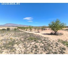 Parcela en Venta en Jumilla, Murcia