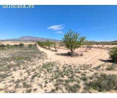 Parcela en Venta en Jumilla, Murcia