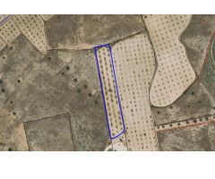 Parcela en Venta en Jumilla, Murcia