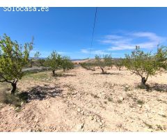 Parcela en Venta en Jumilla, Murcia