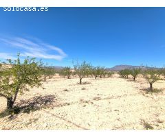 Parcela en Venta en Jumilla, Murcia