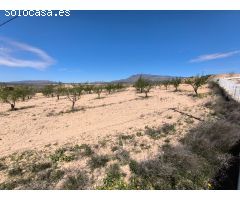 Parcela en Venta en Jumilla, Murcia
