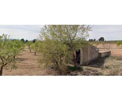 Parcela en Venta en Yecla, Murcia
