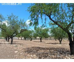 Parcela en Venta en Yecla, Murcia