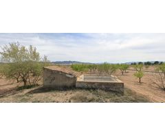Parcela en Venta en Yecla, Murcia