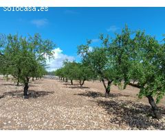 Parcela en Venta en Yecla, Murcia