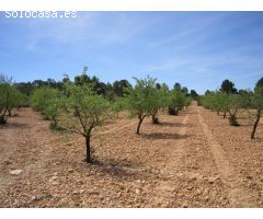 Parcela en Venta en Yecla, Murcia