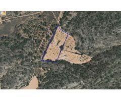Parcela en Venta en Yecla, Murcia