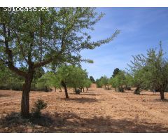 Parcela en Venta en Yecla, Murcia