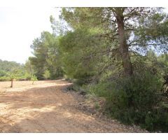 Parcela en Venta en Yecla, Murcia