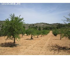 Parcela en Venta en Yecla, Murcia